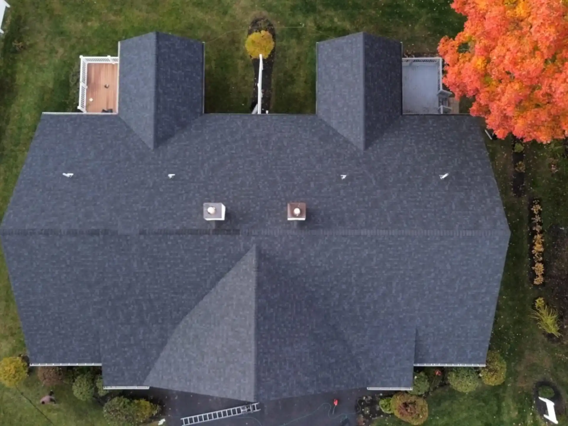 A new charcoal shingle roof seen straight down, with a maple in full fall color beside it